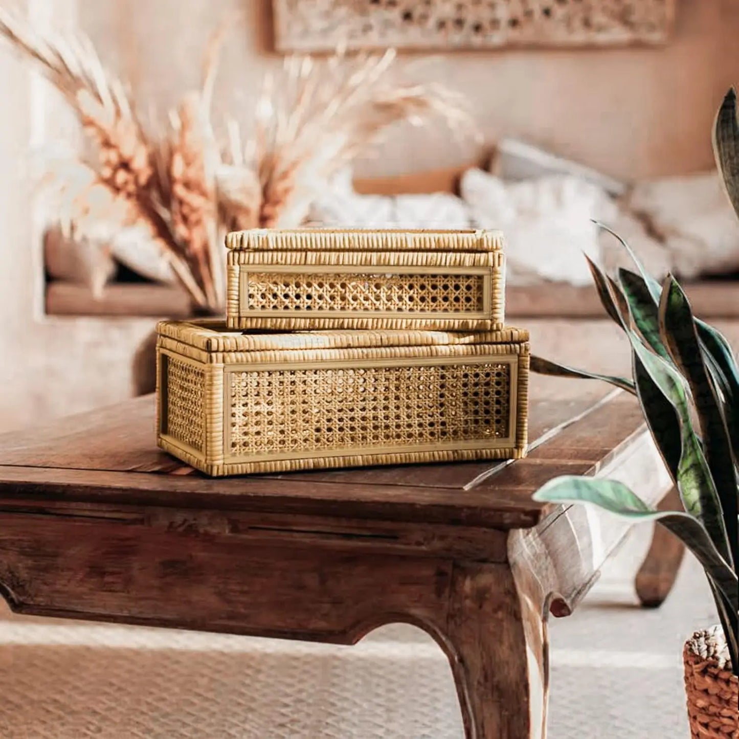 Handwoven Boho Display Boxes with Glass Top