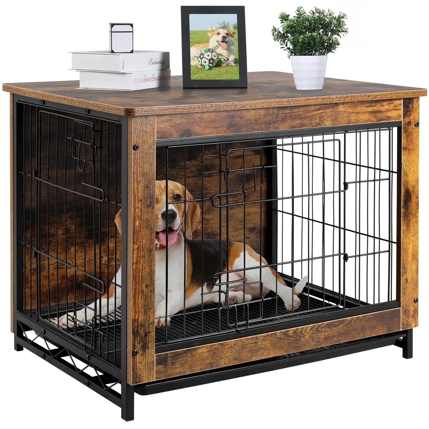 Modern Dog Kennel with Double Doors