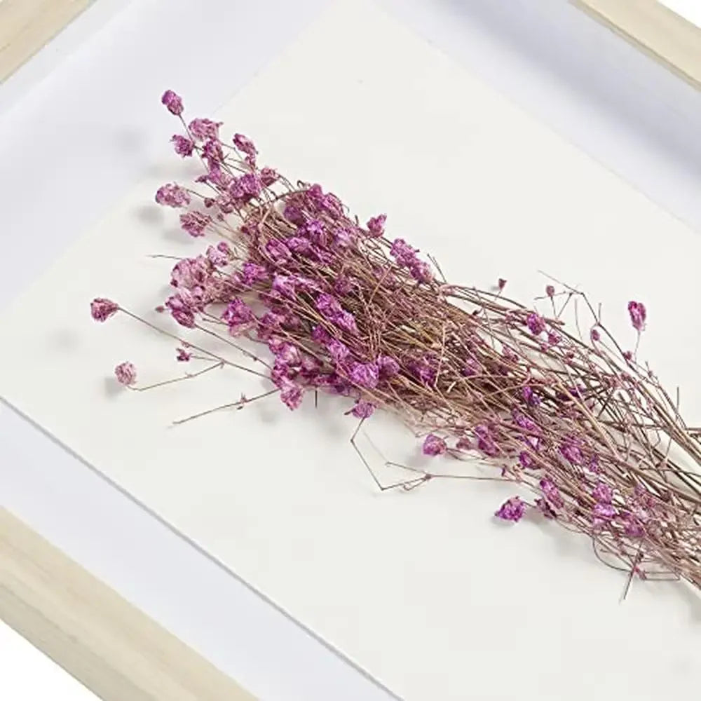 Natural Sundried Flower Wall Art Set